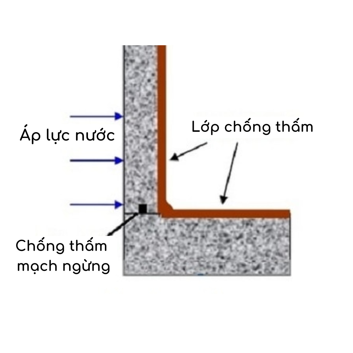 Sơ đồ chống thấm nghịch